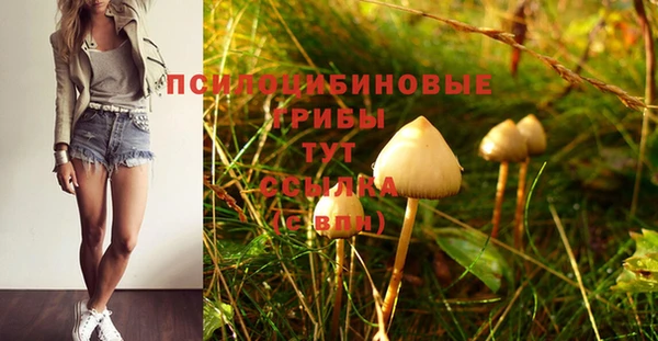 меф Беломорск