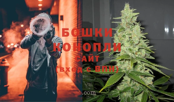 твердый Белокуриха